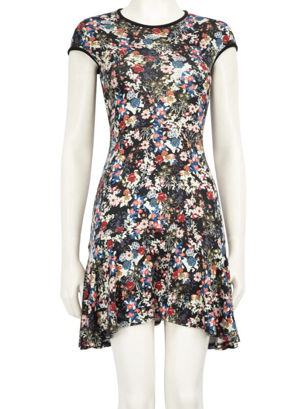 Erdem Floral Print Darlina Mini Dress